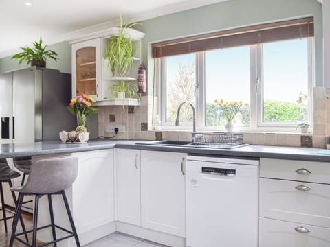Kitchen | Rhosyn Gwyn, Llechryd, near Cardigan