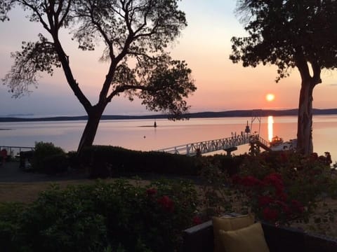 The stillness of the morning as the sun rises over the water... good morning!