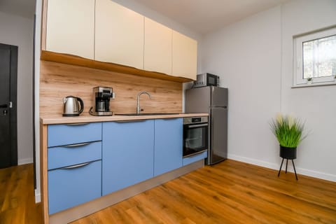 Apartment (A4) | Private kitchen | Oven, electric kettle