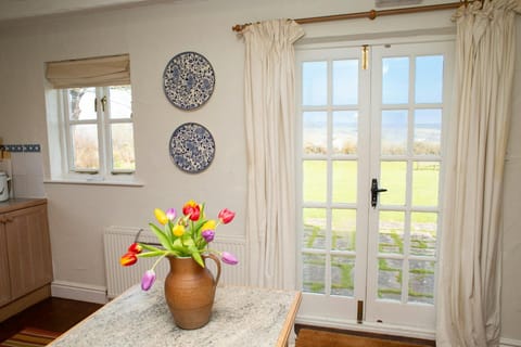 Kitchen counter with vase of flowers, double doors to garden