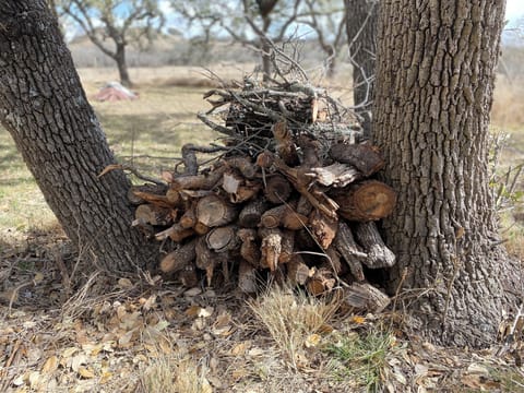 Fire wood (*start a firepit fire pending Gillespie County burn ban status)