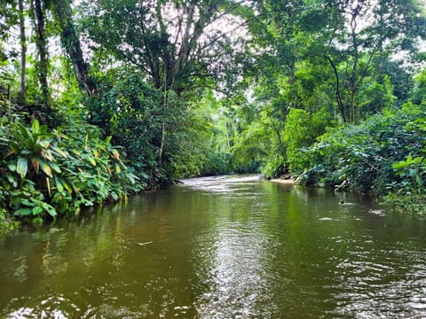 32-inch Smart TV with satellite channels, Netflix, streaming services
