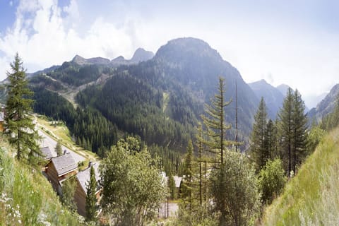 Immediate Surroundings [summer] (&lt;1 km)