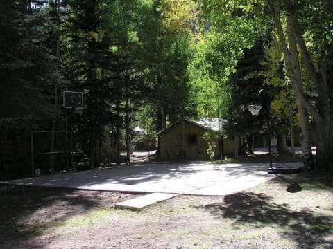 Basketball court