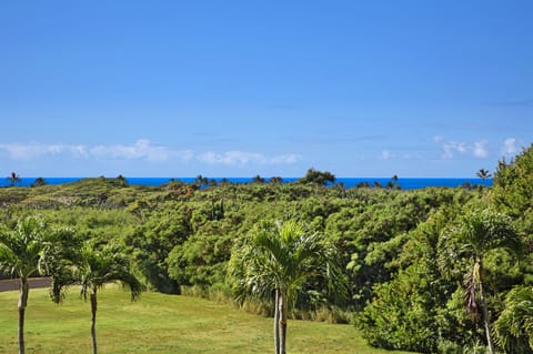 pili_mai_13B_lan3_view