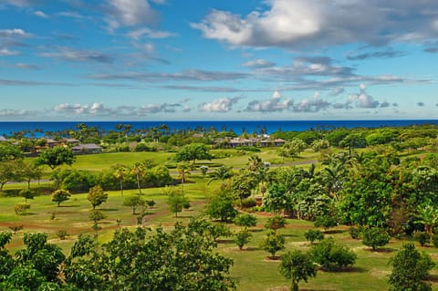 kahalawai_40_livrm_view