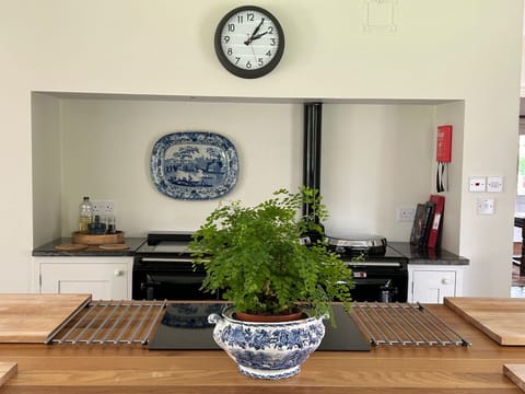 Aga, attention to detail, and a huge working island. Great place for chopping.