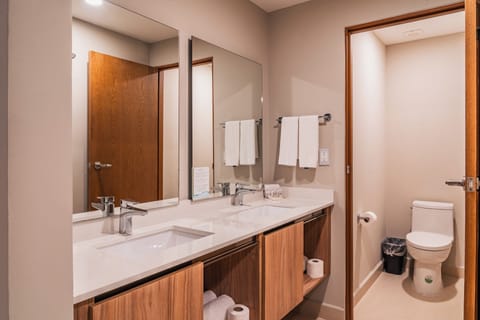 Room, Multiple Beds, Non Smoking | Bathroom | Shower, rainfall showerhead, hair dryer, towels