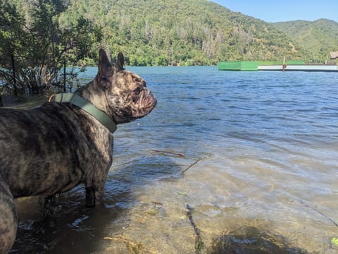 Private beach nearby