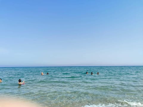 On the beach