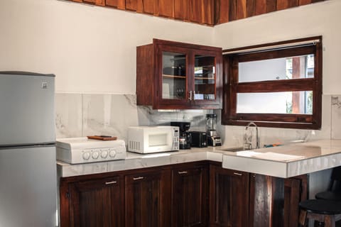 Standard Double Room | Private kitchen | Fridge, microwave, stovetop, blender
