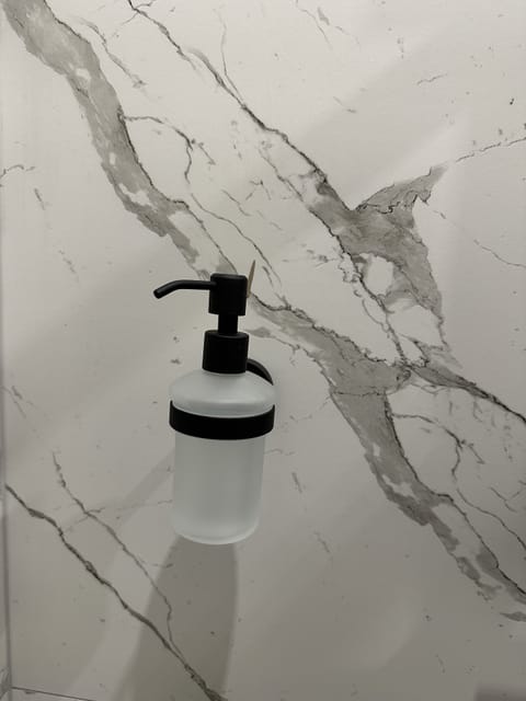 Hair dryer, soap, shampoo, toilet paper