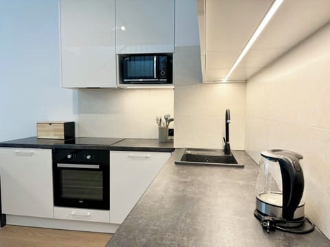 Premium Apartment | Private kitchen | Fridge, oven, stovetop, dishwasher