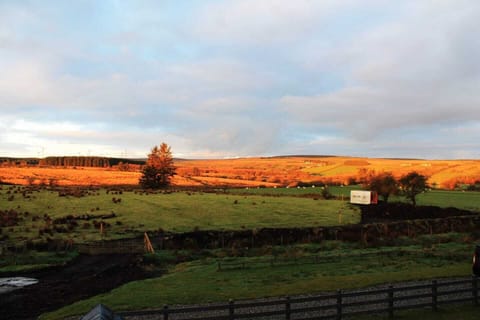 View from dinning room 