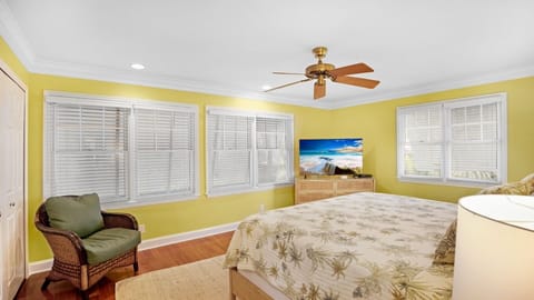 Plenty of windows to let the light in...