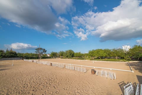 Horseback riding