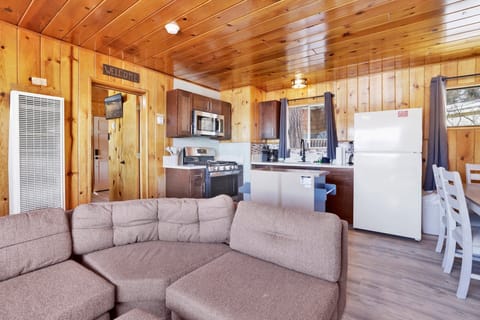 Cabin, Multiple Beds, Patio, Mountain View (108) | Living area | Fireplace