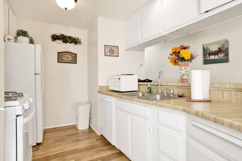 Condo, Multiple Beds, Patio, Mountain View (2365) | Private kitchen | Coffee/tea maker