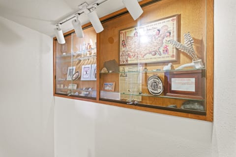 Ouray region artifacts