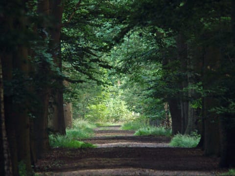 Immediate Surroundings [summer] (<1 km)