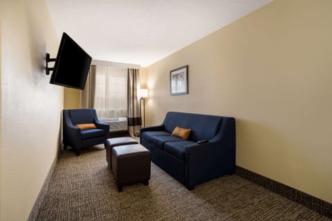 Suite, 1 King Bed, Non Smoking, Hot Tub | Premium bedding, down comforters, desk, laptop workspace