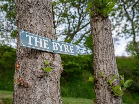 Plant, Wood, Tree, Natural Landscape, Branch, Trunk, Grass, Woody Plant, Font, Groundcover