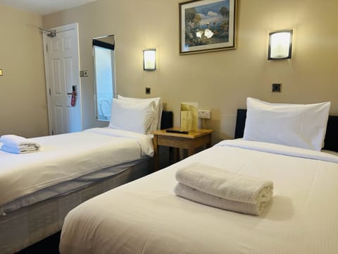 Deluxe Twin Room, Ensuite | Iron/ironing board, free WiFi