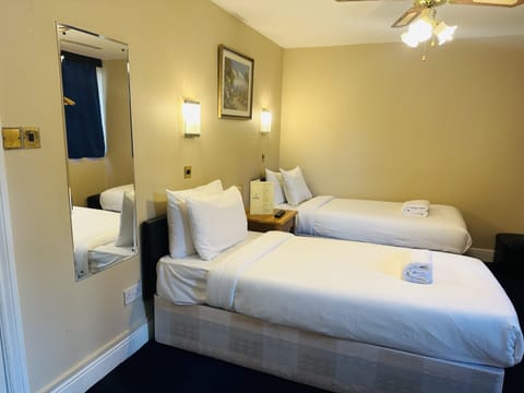 Deluxe Twin Room, Ensuite | Iron/ironing board, free WiFi