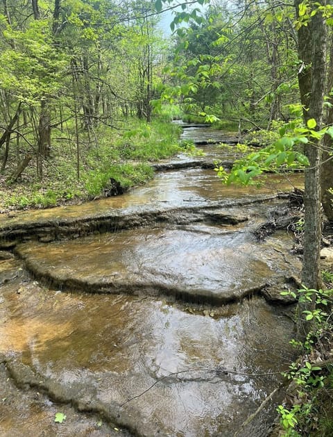 Brook that runs behind the house.