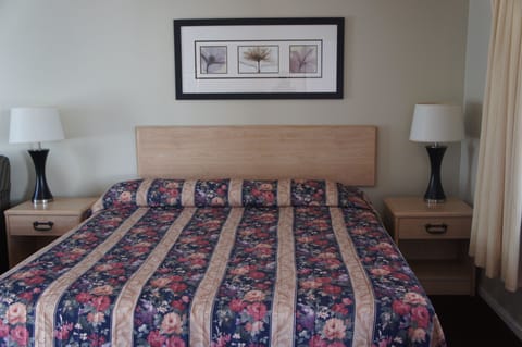Standard Room, 1 Queen Bed, Non Smoking | Blackout drapes, iron/ironing board, free WiFi