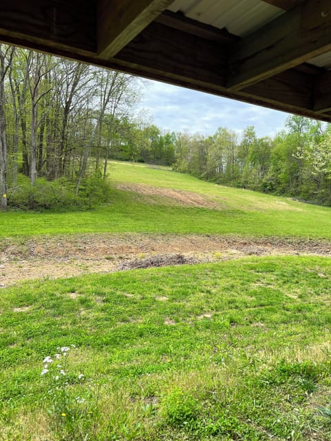 Acreage view from back patio.