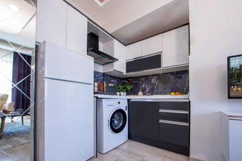 Classic Apartment, City View | Private kitchen | Fridge, cookware/dishes/utensils, cleaning supplies