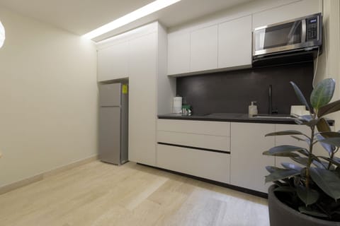 Comfort Apartment, Patio | Private kitchen | Fridge, microwave, stovetop, electric kettle