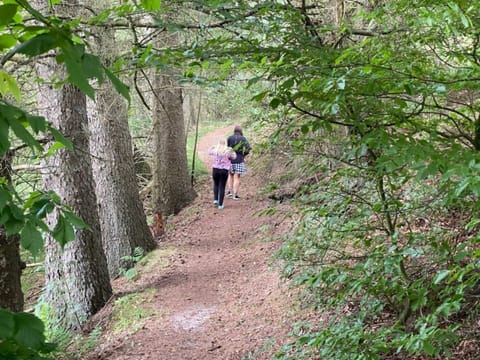 House | Miscellaneous