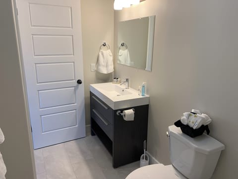 Basic Suite | Bathroom