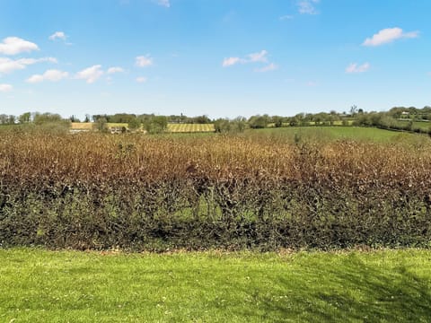 View | Lower Axford Cottage, Callington