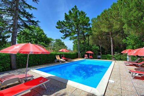 Garden, Outdoor, Pool