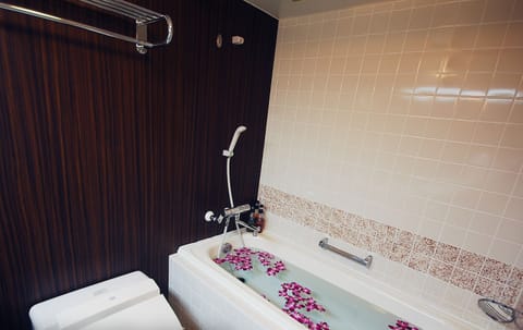 Combined shower/tub, deep soaking tub, hair dryer, bathrobes