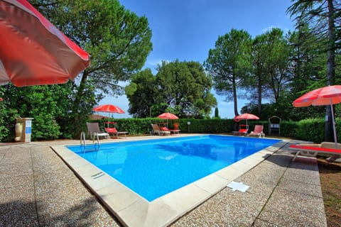 Garden, Outdoor, Pool