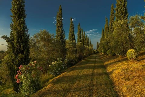 Building Exterior, Garden, Outdoor, Scenic View