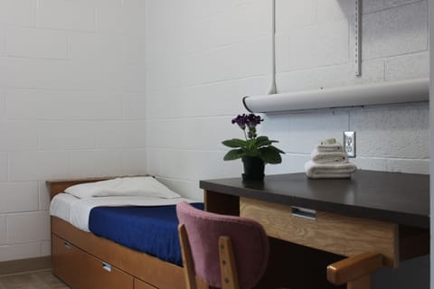 Single Room with Shared Bathroom (Arts & Science) | Desk, iron/ironing board, free WiFi, wheelchair access