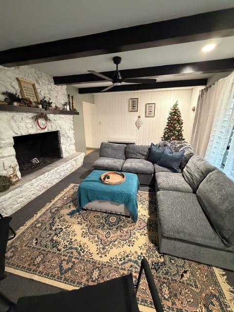 Christmas season the tree will be up
