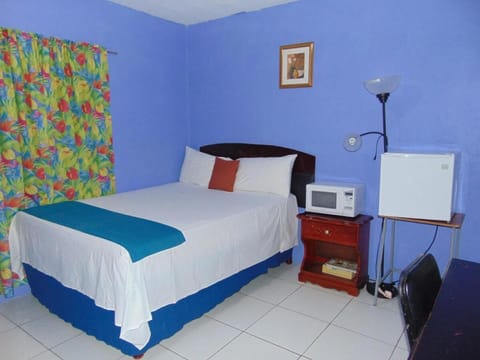 Standard Room | Desk, laptop workspace, iron/ironing board, free WiFi