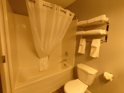 Combined shower/tub, free toiletries, hair dryer, towels