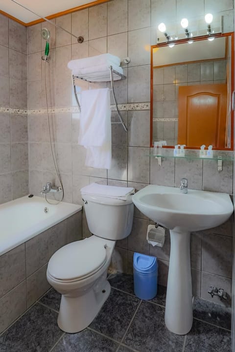 Combined shower/tub, hair dryer, towels