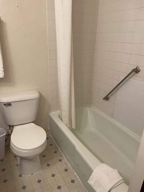 Combined shower/tub, free toiletries, hair dryer, towels