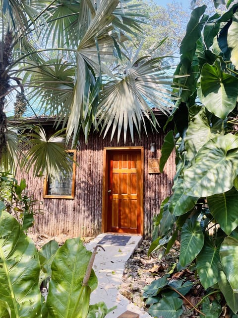 Macaw - Family Grand Cabana | Terrace/patio