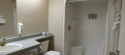 Executive Suite | Bathroom | Free toiletries, hair dryer, towels