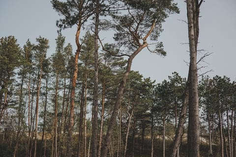 sea view from the communal terrace