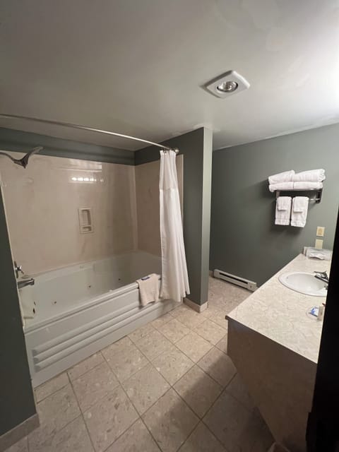 Deluxe Room, 1 King Bed, Lake View | Bathroom | Combined shower/tub, hair dryer, towels, soap